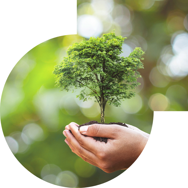 关怀人类、文化、环境与社会